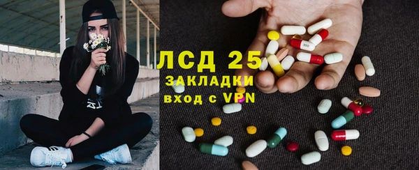 ГАЛЛЮЦИНОГЕННЫЕ ГРИБЫ Алзамай