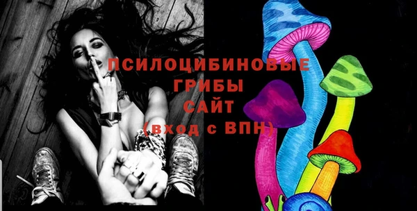 ГАЛЛЮЦИНОГЕННЫЕ ГРИБЫ Алзамай