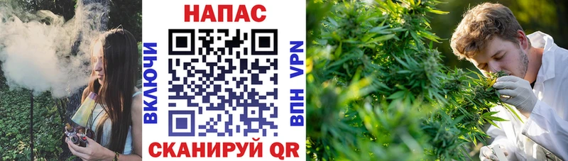 Шишки марихуана THC 21%  где купить наркотик  Сясьстрой 
